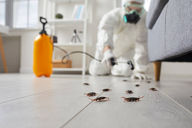 Trusted Termite Control service in Mount Clemens, MI - Nex Pest Control